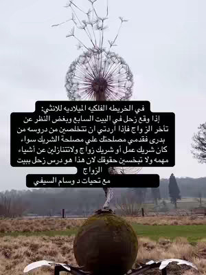 An outdoor scene during daylight. An artistic metal sculpture of a ball-like shape with spikes is in the foreground. A flowerlike dandelion is attached to the sculpture at the top. In the background is a field with a treeline, the scene is mostly in muted shades of green and grey. Text is overlaid on the image.