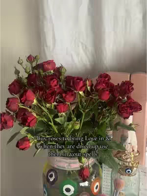 The cover image showcases a vibrant bouquet of red roses arranged in a decorative jar. The roses are the focal point, with their deep red color contrasting against the white background, likely curtains. The jar has colorful painted symbols on it. The layout is simple and visually appealing.
