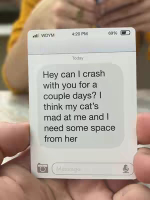 A close-up shot shows a phone screen displaying a text message conversation. The phone is white with rounded corners, and the text bubbles are light grey. The recipient's message reads, 'Hey can I crash with you for a couple days? I think my cat's mad at me and I need some space from her.' At the top of the screen, the time shows 4:20 PM, and the battery is at 69%. The phone is held in someone's hands, with parts of their sleeves in the background.