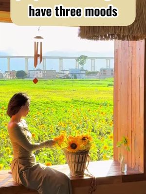 A woman with dark hair is seated on a wooden windowsill in profile, looking towards a field of sunflowers. She is wearing a light-colored dress. A basket of sunflowers sits next to her. The setting features a bright, sunny day with a clear view of a bridge in the distance.