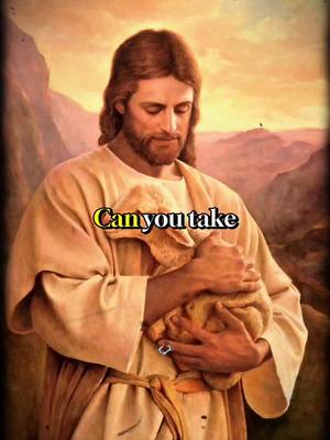 The image features a religious illustration of Jesus holding a lamb. Jesus has long brown hair, a beard, and is wearing a robe. He clasps the lamb gently. Background has a painterly quality with a soft sunset colors.