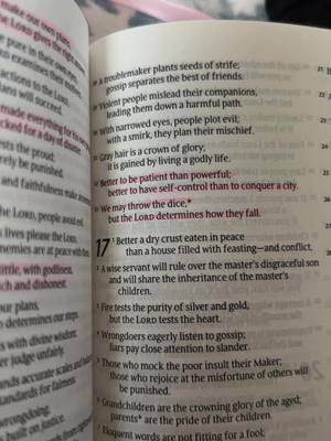 An open Bible is shown, with highlighted text using a pink marker. The book is open to a page that includes several verses, with the primary focus being on verse 17, which is highlighted. The pages are off-white, and the lighting suggests an indoor setting.