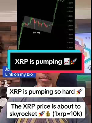 The cover shows a man in a casual setting, his face slightly visible. Overlaid at the top is a stock chart with a 'Bull Flag' labeled. Below, a light-blue box displays 'XRP is pumping' with an up-trending graphical line and a rocket emoji. Below this is a dark blue banner with the text 'Link on my bio'. Further down, white boxes present the statements : 'XRP is pumping so hard 🚀' and 'The XRP price is about to skyrocket 🚀 💰 (1xrp=10k)'.
