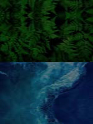 The cover image is split horizontally into two sections. The upper section features a blurry image of dense, dark green foliage, likely ferns. The bottom half presents a blurred view of water, displaying shades of blue and white, possibly depicting waves or clouds.