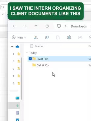 The cover image shows a computer screen displaying a folder structure within a file explorer, with a text overlay at the top. The text overlay, on a green background, says "I SAW THE INTERN ORGANIZING CLIENT DOCUMENTS LIKE THIS".  The file explorer window includes options such as "New", "Downloads", and the folder for "Pivot Pals" and "Cell & Co". 