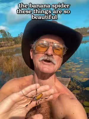 A man with a mustache and glasses holds a large banana spider in front of a lake. Text overlays read 'the banana spider these things are so beautiful'.