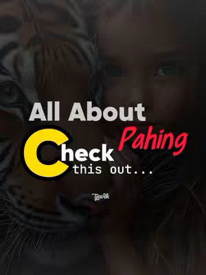 A cover image with a tiger's face on the left, a woman's face in the background, and overlaid text in various styles. "All About" is in white, the "C" in "Check" is yellow, and "Pahing" is in red. The background is blurred and dark.