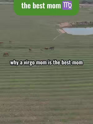 The cover image shows a wide shot of a green field with several cows grazing. In the background, there's a body of water under a cloudy sky. Overlayed on the image are the words, 'the best mom' in a green box above and the text 'why a virgo mom is the best mom' below. A purple Virgo symbol appears in the green box.
