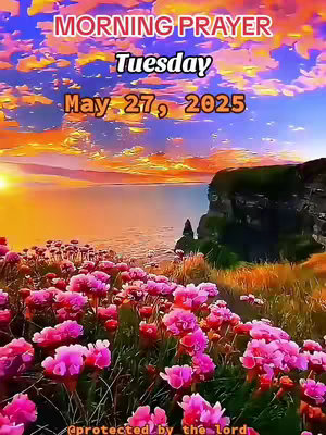 The cover image showcases a vibrant landscape at sunset or sunrise. The top portion features a sky painted with hues of orange, yellow, and purple, suggesting a dramatic time of day. Below the sky, a body of water, likely the sea or an ocean, stretches across the frame. In the foreground, there's a field populated with clusters of pink flowers, adding a pop of color and texture to the scene. On the right side, a small cliff juts out, with a darker area suggesting a shadow or land mass. Text elements overlay the image, displaying the video's title and date.