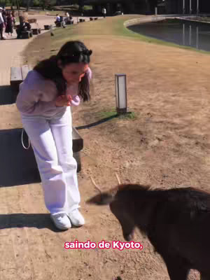 A woman in casual attire stands outdoors, bending towards a deer. The deer is in the foreground, with a blurred background of a park with a grassy area and a water body. Text overlayed says, "saindo de Kyoto,"