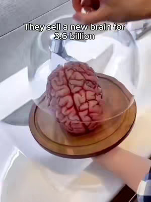 The image shows a close-up view of a brain model inside a glass dome, resting on a wooden plate. The setup is placed in what appears to be a bathroom sink. A hand is visible, seemingly holding or interacting with the glass dome. Text overlay states: "They sell a new brain for 3.6 billion."