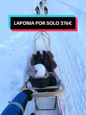 A first-person perspective shows a person on a sled being pulled by dogs across a snow-covered landscape. The sled is visible, featuring wooden construction and a seating area. Above the sled, the image has a text banner that states "LAPONIA POR SOLO 376€" in white letters against a blue background with a red border. The foreground shows the person's gloved hand on the wooden frame of the sled.