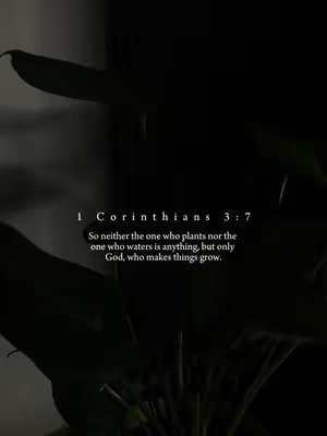 The cover image is a vertical shot with a dark, almost black, background, likely meant to be a plant. In the lower center, is a text overlay with a bible verse.
