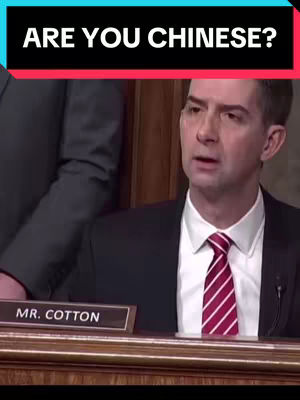 A man in a black suit and red tie is seated at a table. Above his head is a black and red text overlay that reads "ARE YOU CHINESE?" A nameplate with "MR. COTTON" is visible in the foreground. The background is a dark wooden panel.