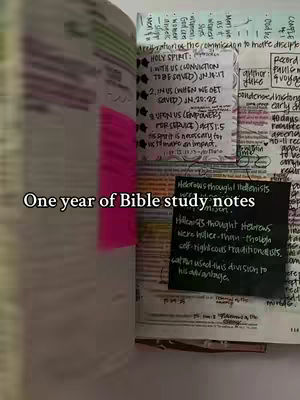 The image shows an open Bible with handwritten notes and sticky notes. The left page is partially visible with blurred text. The right page features various handwritten notes, diagrams, and sticky notes in different colors. A pink sticky note is prominent, and a small black note with white writing is also visible. The overall layout suggests a detailed study of the Bible. The text overlay says: One year of Bible study notes