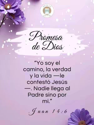 The cover image features a soft lilac background adorned with purple flowers in the corners and tiny twinkling white lights scattered across the top. In the center, the words "Promesa de Dios" are written in elegant, cursive black font atop a white rectangular highlight. Below this, the image includes a Bible verse in regular black font, starting with "Yo soy el camino..." the quote is taken from Juan 14:6. At the top right, there's a circular logo which seems to be from a religious organization.