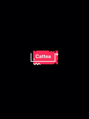 A minimalist cover image featuring a red rectangular shape with a white outline and text 'Cattea' in white. The background is solid black.