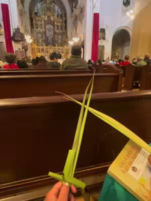 A person's hands hold a palm frond, with a church interior as the backdrop. The church features wooden pews filled with people, a high altar, and large windows. The person is holding the palm branch, seemingly during a Palm Sunday service.