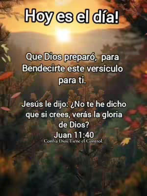 The image features a serene, natural background with a blurred focus on foliage and a warm, glowing sunset or sunrise in the upper center. Overlayed text in a clear, bold font provides a motivational or inspirational message. The overall composition is centered, with text blocks arranged to balance the visual weight, and the color palette is dominated by earthy tones with hints of the warm light from the sun.
