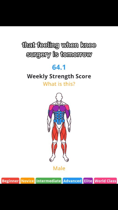 The image displays a white background with text overlays and a graphic of a human figure. The text, in black font, says, 'that feeling when knee surgery is tomorrow' at the top, followed by a numerical value '64.1' on the center. Below this, the phrase 'Weekly Strength Score' is written, where under that, the words 'What is this?' are written in light orange. Further down, is the graphic of a human figure with different muscle groups colored in shades of red, blue, purple, and pink. At the bottom, the word 'Male' can also be seen. A horizontal bar with color-coded words like 'Beginner', 'Novice', 'Intermediate', etc. is placed at the bottom.