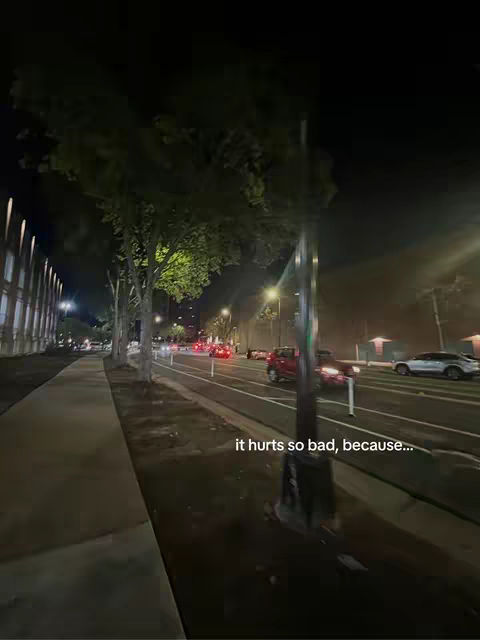 Night scene of a city street with trees and cars. The foreground shows a sidewalk and road with cars, a street light is also on the right. There are trees lining the road. In the sky is dark.
