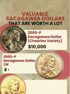 The image is a collage or information graphic designed to highlight valuable Sacagawea dollar coins. It uses a color scheme with reddish-brown, white, and gold tones, creating an appealing visual for a collectible. The composition is divided into sections with the coins displayed against these colored backgrounds and labeled with details like mint year and estimated value.