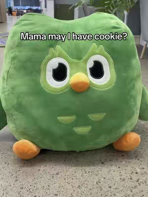 The cover image shows a green plush toy of the Duolingo owl character. The owl has large black eyes with white highlights, an orange beak, and orange feet. Text overlayed on the image reads, "Mama may I have cookie?"