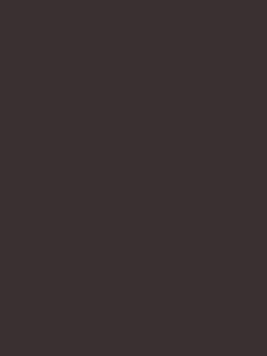 A solid, dark brown background fills the entire image, offering a simple and minimalist aesthetic.