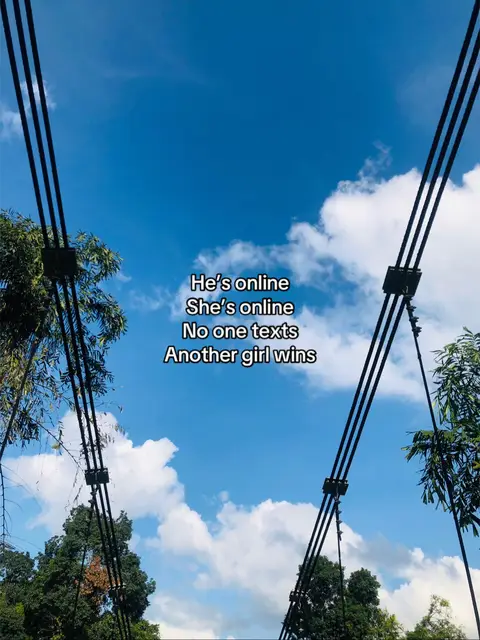An upward-facing shot capturing a sky with a brilliant blue hue, intersected by strong, angled black cable lines framing the scene. Fluffy white clouds drift across the sky, offering a soft contrast to the sharp lines. Green foliage is visible at the bottom, enhancing the depth and natural feel of the image.