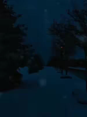 A nighttime winter scene with tall, dark trees framing a snow-covered path that recedes into the distance. The sky is a deep blue, suggesting twilight or a moonlit night, and a few faint lights can be seen in the distance.