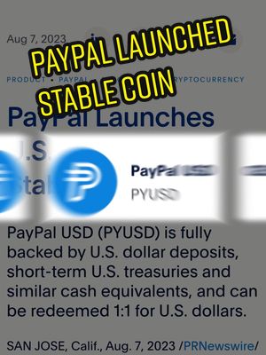 The cover image shows a screenshot from a news article announcing the launch of PayPal's stablecoin. The text overlay at the top says "PAYPAL LAUNCHED STABLE COIN" in large, bold, yellow letters with a black outline. Below the headline, the image blurs into text, highlighting the launch details with a blue PayPal logo.