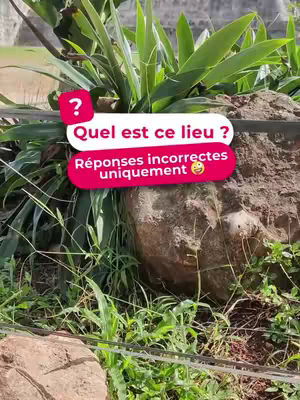 The cover image shows a scene in nature with a large rock and lush greenery in the foreground. Overlaid on the image are two text boxes: one with a question mark and the text 'Quel est ce lieu ?' (What is this place?) and another with the text 'Réponses incorrectes uniquement' (Incorrect answers only). The overall composition suggests a game or a riddle.
