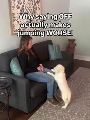 A woman sits on a dark gray couch in a living room with a golden retriever puppy jumping up at her. Text overlays the image, and the scene is brightly lit.