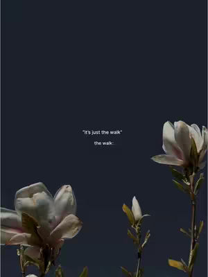 The image is a dark, moody photograph featuring white magnolia blossoms against a deep blue background. The flowers are positioned artfully, with some fully open and others as buds, creating a sense of depth. Text overlayed in the middle, using a simple, clean font, reads "It's just the walk" then "the walk." The overall aesthetic is minimalist and calming, with a focus on nature.