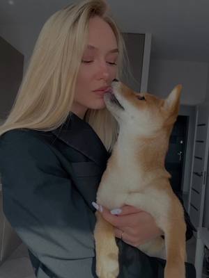 A young woman with long blonde hair is holding a small dog, a Shiba Inu, in her arms. She is gently touching noses with the dog, and the dog is licking her face. The woman is wearing a black blazer. Overall, the image is a serene moment of affection.
