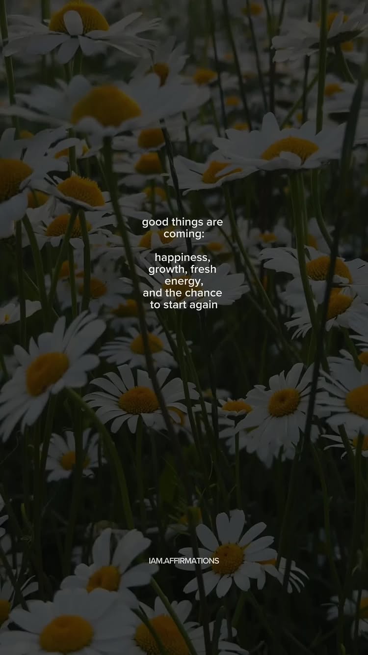 The image is a vertical shot of a field of white daisies with yellow centers, densely packed together. Text overlays appear in a clean, sans-serif font, with the main text being “good things are coming: happiness, growth, fresh energy, and the chance to start again”.  The text is stacked in a way to fit the vertical format common on social media platforms. The overall effect is calming and hopeful, with the flowers providing a sense of natural beauty.