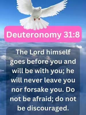 The image features a white dove in flight against a blue sky with clouds. Overlaid on this is a pink rectangle with text, and a dark rectangle containing text from Deuteronomy 31:8.