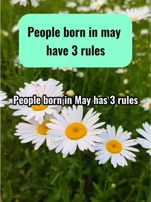 The image shows a vibrant field of daisies, with white petals surrounding yellow centers, set against a lush green backdrop. Overlayed on this natural scene are text boxes in a contrasting color, containing the message about people born in May and their rules.
