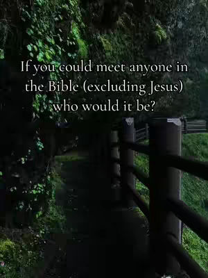 A pathway disappears into a dark forest, framed by a black wooden fence on the right side of the image. Lush green foliage and moss cover the left side, with the text overlayed in the center top of the image.