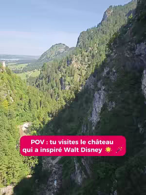 A scenic view of a lush, green mountain range. In the foreground, dense forest covers the slopes of a deep valley. A pink text overlay is present.