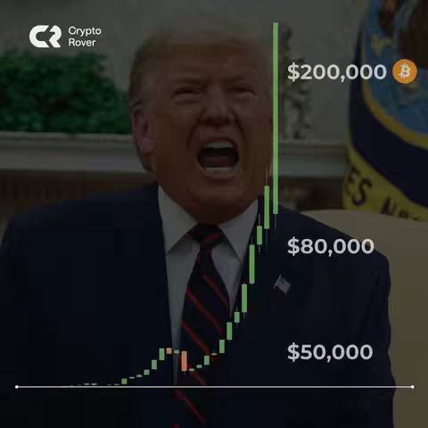 The cover image features Donald Trump with an open mouth and an excited expression in front of a blurred background. Overlaid is a green-colored line graph indicating a rise in Bitcoin price, with labeled values of $50,000, $80,000, and $200,000, along with a small Bitcoin logo.
