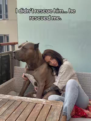 A woman is sitting on a patio chair with a large dog, embracing it. The dog rests its head on her shoulder, and the woman is looking at the camera. The overall composition is warm and intimate, contrasting the woman in light clothes with the dog's dark fur.