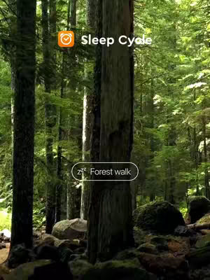 A lush green forest with tall trees and sunlight filtering through. The image includes text overlays for app branding.