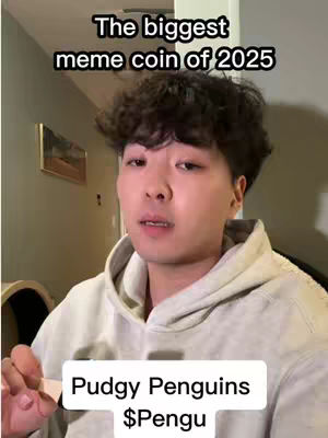 The cover image features a young man in a hoodie speaking to the camera. The overlaid text at the top reads "The biggest meme coin of 2025". Below, a rectangular box states "Pudgy Penguins $Pengu". The background includes a wall, a painting, and some furniture, suggesting an indoor domestic setting.