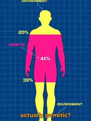 A simplified human figure is bisected, indicating the genetic and environmental influences on height. The upper part is colored yellow and labeled 'Environment,' taking up 20% of the total. The middle section is pink and labeled 'Genetic,' representing 41%. The legs are split, with the upper part pink and the lower yellow, showing 39%. A grid-like blue background provides a structural base for the infographic. Below are the words 'actually genetic?' in a yellow rounded font.