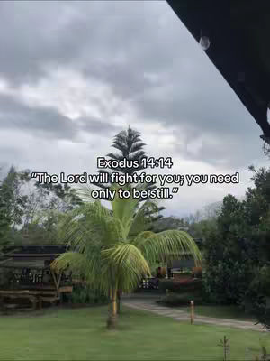 The image shows a lush green scene with a tree in the center. Text overlays are added to it. The sky is overcast.