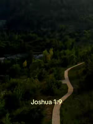 An aerial view shows a winding path through a lush, green forest. The path is light-colored and appears to be made of stone or gravel. It curves gently, suggesting a journey or a path to be followed. The forest is dense, with a variety of shades of green. The lighting suggests either early morning or late afternoon, adding a sense of peace and tranquility. Overlayed across the bottom of the image is text.