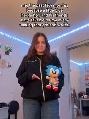 A person stands in a room, holding a Sonic the Hedgehog plushie. Text overlays the image. The person is wearing a black zip-up hoodie and jeans. The background features a blue LED strip light.
