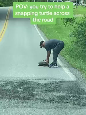 The image shows a man in athletic wear and a baseball cap, bending over on a road to handle a turtle. Text overlayed in a green box above reads "POV: you try to help a snapping turtle across the road". The scene is set outdoors, with a road and grassy areas visible.