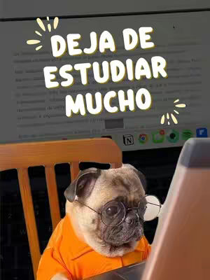 A cover image featuring a pug wearing glasses and an orange shirt, seated in front of a laptop displaying text. The text overlay reads "DEJA DE ESTUDIAR MUCHO" in large, white, bubble-style letters with a yellow glow and decorative starbursts.
